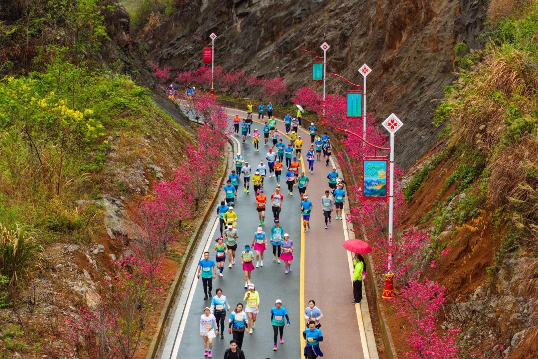 跑道两侧桃花盛开。清远日报记者 邱炜民 摄