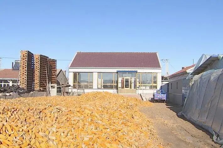 聚力乡村振兴通辽这些村各有奇招二