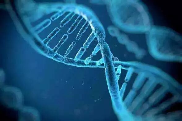 延缓衰老之瑰宝---HGH人类生长素