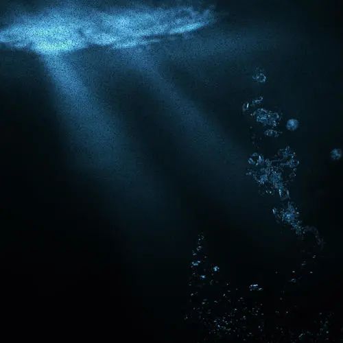 症 画像 恐怖 深海
