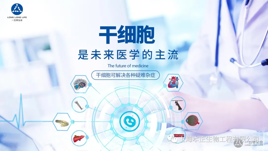 干细胞 图片