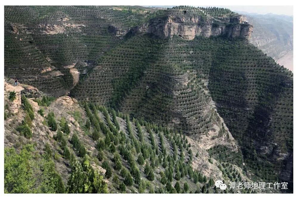 草方格治沙_草方格沙障_草方格沙障单价
