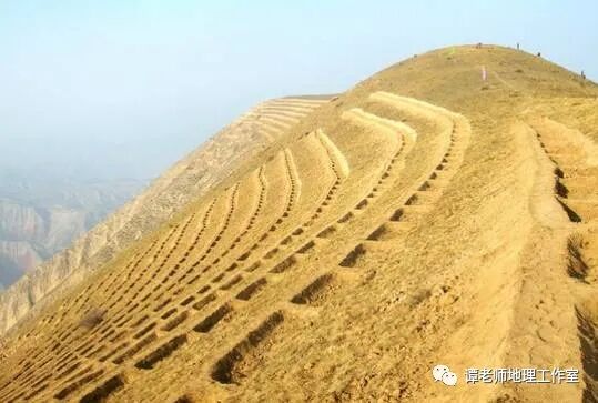 草方格沙障_草方格沙障单价_草方格治沙