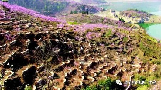 草方格沙障_草方格沙障单价_草方格治沙