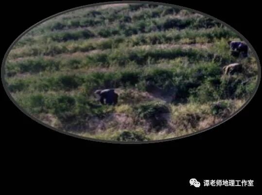 草方格沙障单价_草方格沙障_草方格治沙