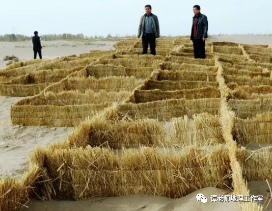 草方格沙障单价_草方格沙障_草方格治沙