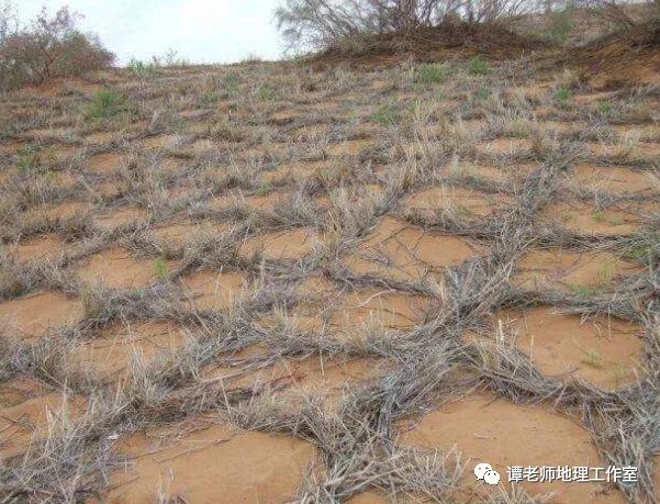 草方格沙障_草方格沙障单价_草方格治沙