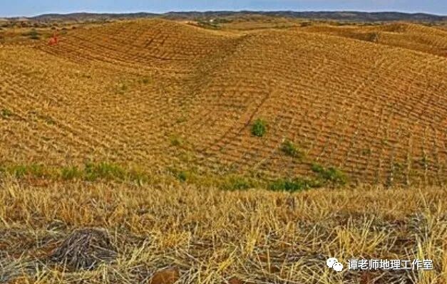 草方格治沙_草方格沙障单价_草方格沙障