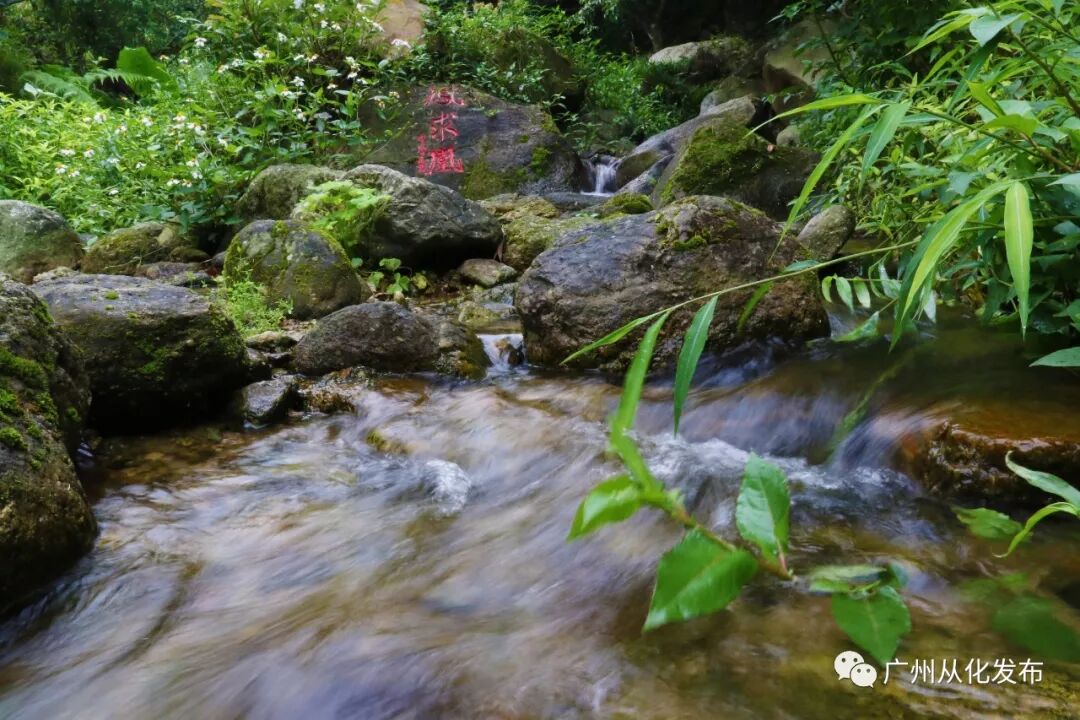 广东省广州市从化区鳌头镇务丰村-村网通