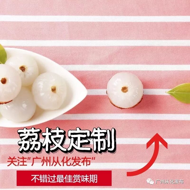 荔枝品种排名_最受欢迎的荔枝品种_品种排名荔枝排第几