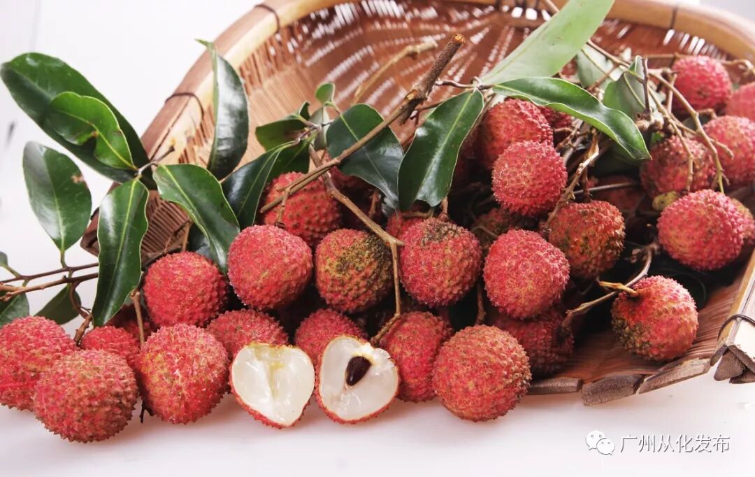 最受欢迎的荔枝品种_荔枝品种排名_品种排名荔枝排第几