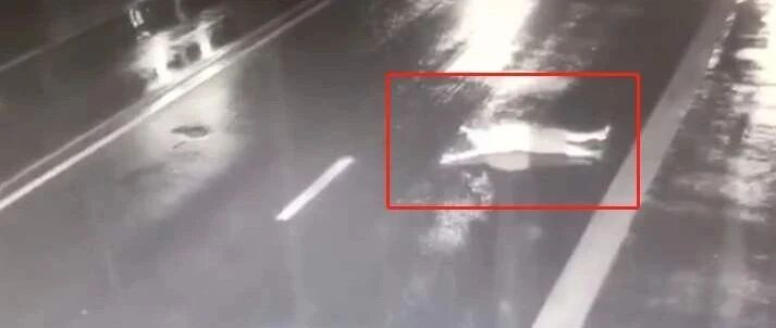 早报|特斯拉将重新设计Model Y；男子赌气躺路中被撞飞；群众路边捡蒜瓣遭车祸