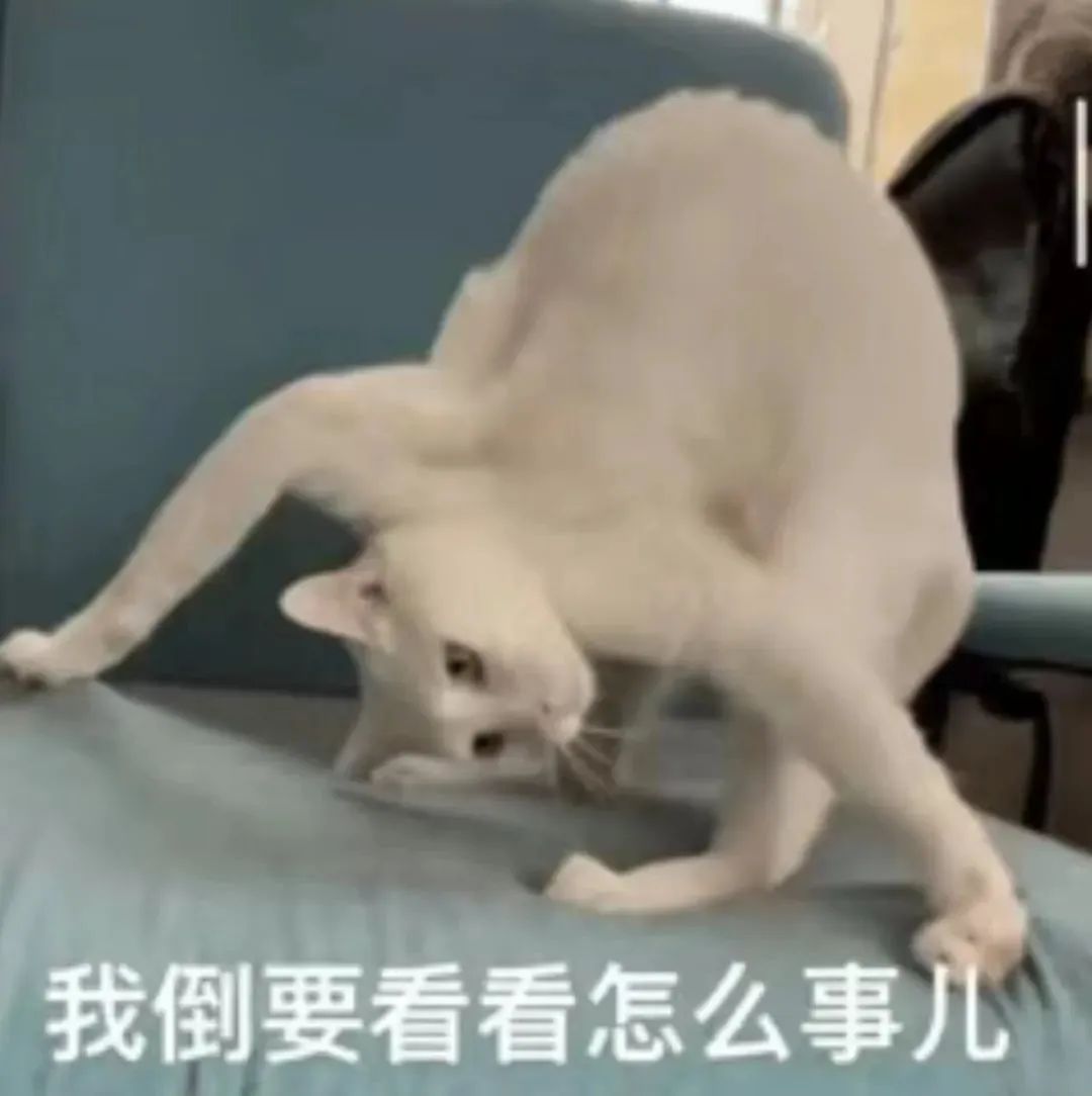 广东省关于物业管理法空置房减免