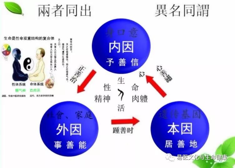 道德知音 道德复兴传播弘扬中华道德心文化 弘扬中国传统文化 自立 立他 德道行天下