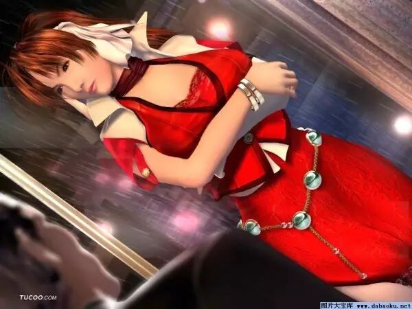 日本HGame公司Illusion