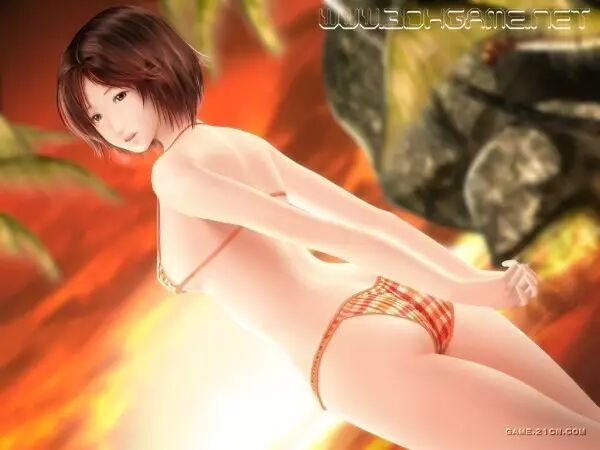 日本HGame公司Illusion