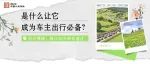 堵堵堵。。。堵堵堵。。。怎么办？
