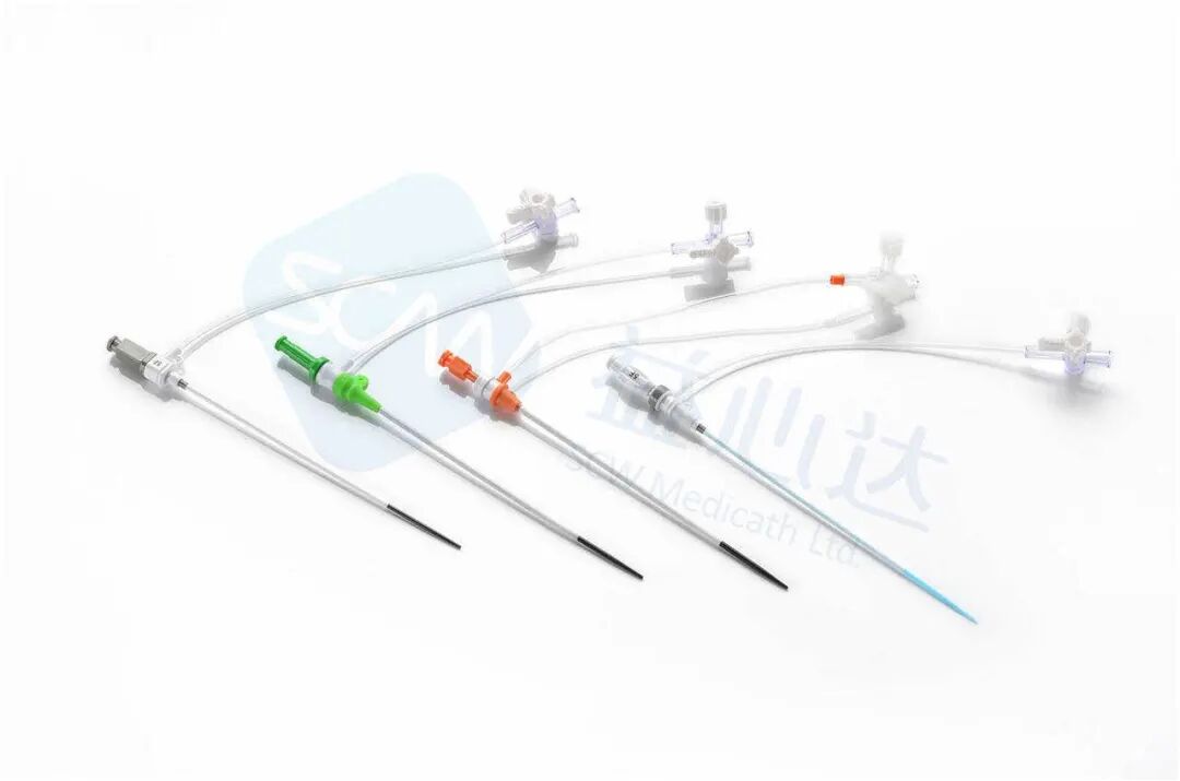 导管鞘怎么念介入推荐 ｜ 导管鞘套装【文末领盲盒】_https://www.jmylbn.com_新闻资讯_第2张