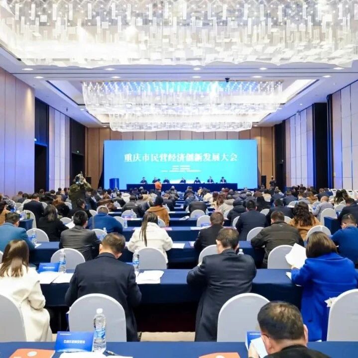 重庆民营经济国际合作商会