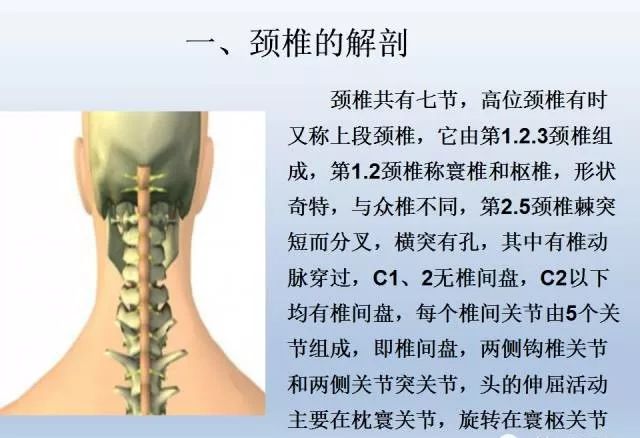 高位颈椎的高清解剖及手法整复 天民针刀 微信公众号文章阅读 Wemp