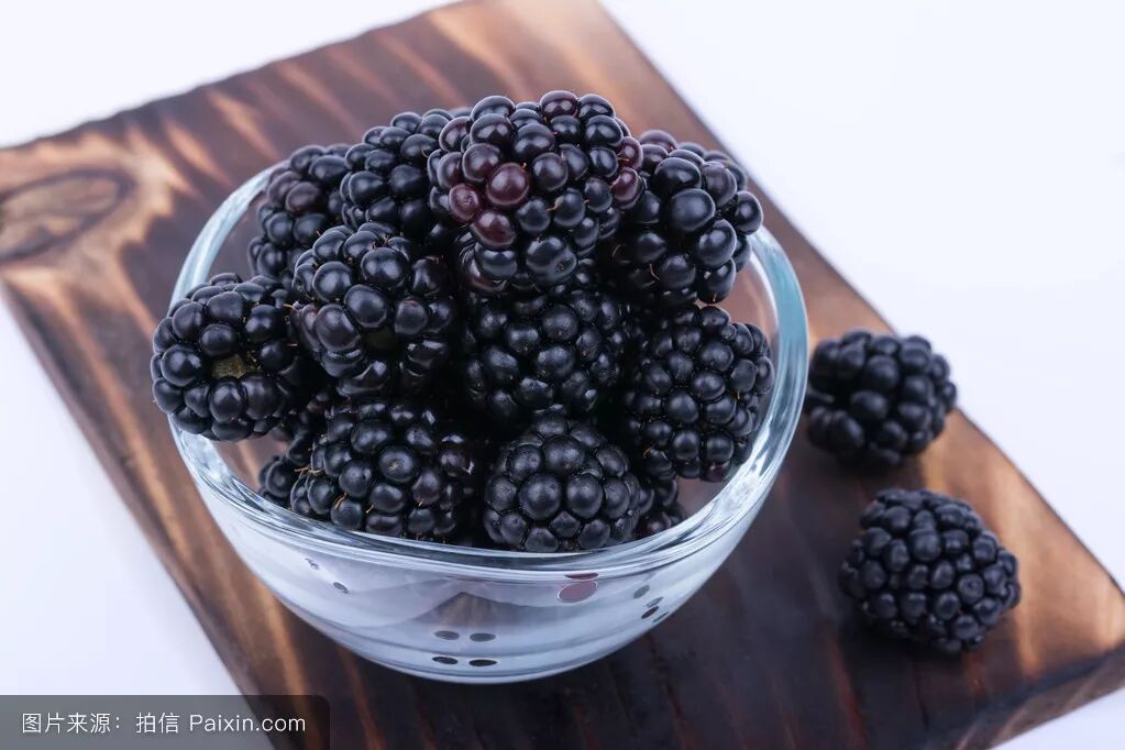 这么多berries 你爱吃哪种 琦酱的英语学习笔记 微信公众号文章阅读 Wemp