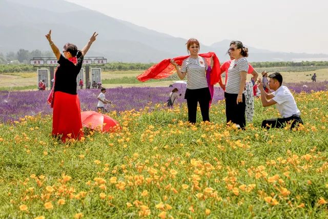 花遊記 | 第十三站之顏值爆表的昌平七孔橋花海 戲劇 第8張