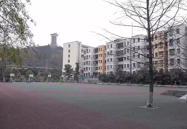 學校自貢市育才小學小學(14所)資陽市資陽中學綿陽市三臺中學樂山市