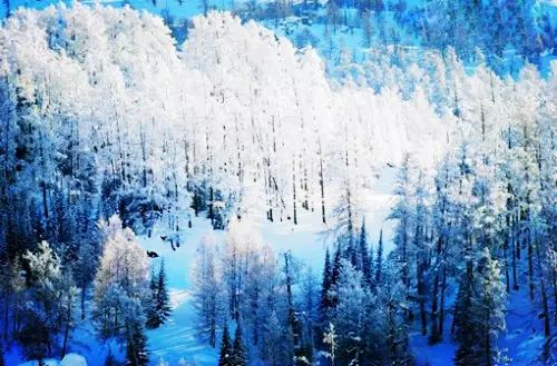 持續降雪50多個小時後 阿勒泰竟變成了這樣……