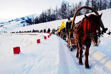 持續降雪50多個小時後 阿勒泰竟變成了這樣……