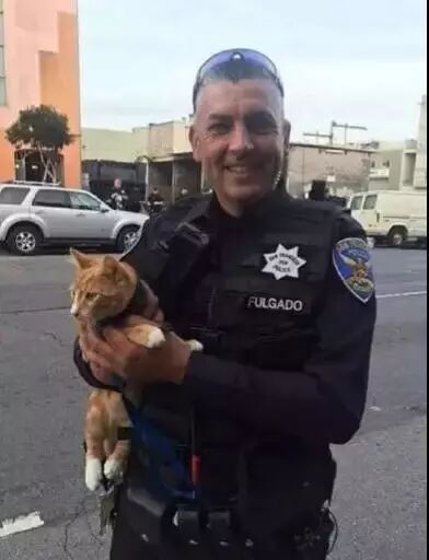 我的貓，救了我的命。 寵物 第3張