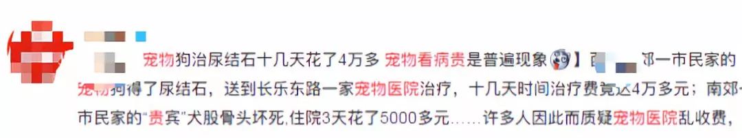 有1個獸醫朋友，抵得過進5家寵物醫院！ 寵物 第13張