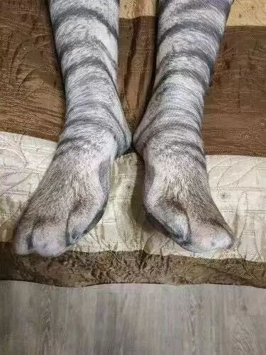 原来,猫咪也是有蜜桃臀的...-微信头条网 原来,猫咪也是有蜜桃臀的...