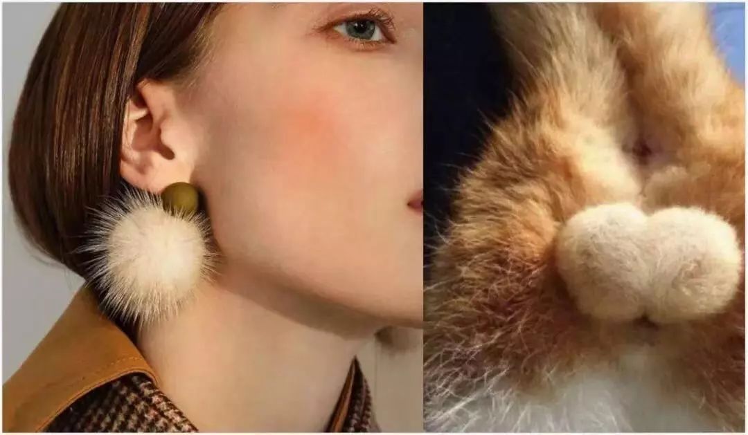 原来,猫咪也是有蜜桃臀的...-微信头条网 原来,猫咪也是有蜜桃臀的...
