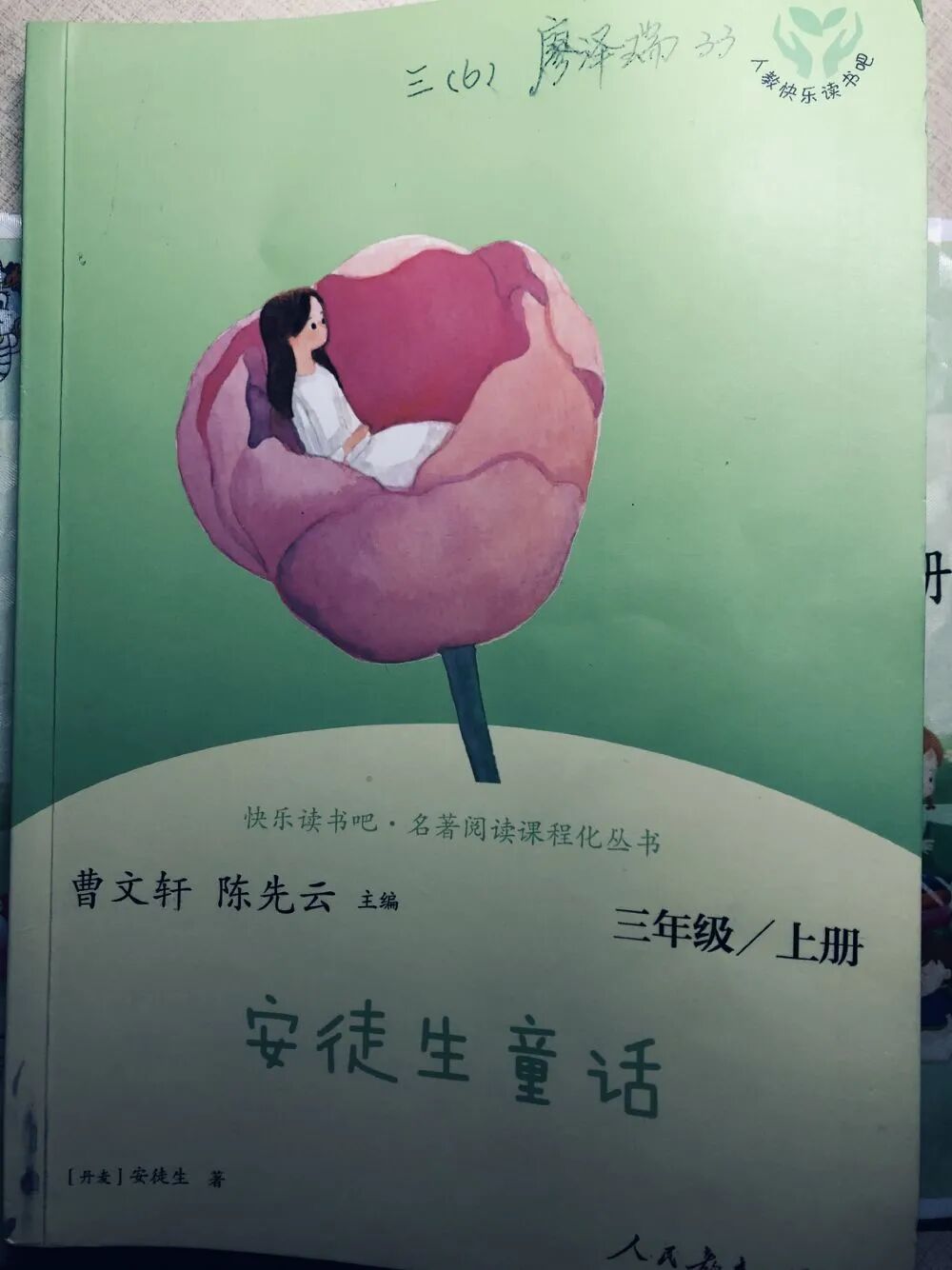 【《安徒生童话》整本书阅读之《雏菊》】三（6）中队廖泽瑞