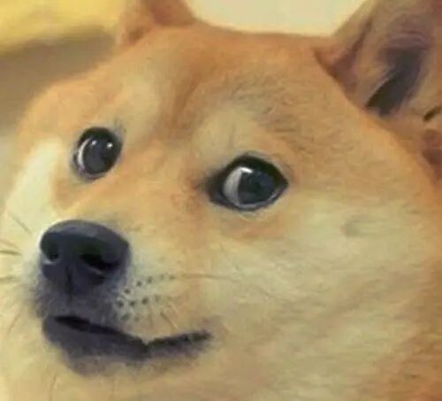 ps工具栏怎么全部显示出来_手机信号栏原来显示的是3g现在显示个e是什么意思_为什么登陆qq农场显示不出来qq牧场显示得出来