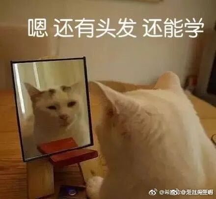 ps工具栏怎么全部显示出来_手机信号栏原来显示的是3g现在显示个e是什么意思_为什么登陆qq农场显示不出来qq牧场显示得出来