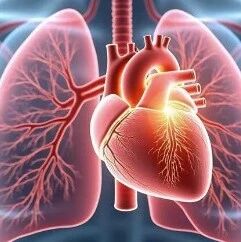 專注於氣體心肺診療設備的「諾令生物-B」首次遞表，醫療設備已商業化