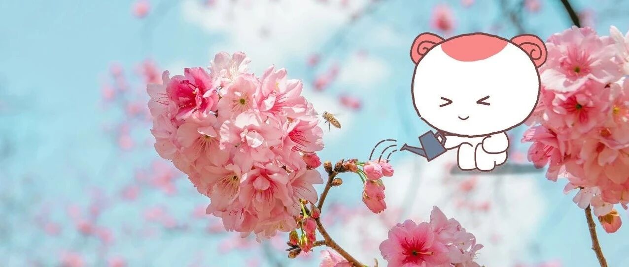 在分手这件事上，这几个星座说到做到！