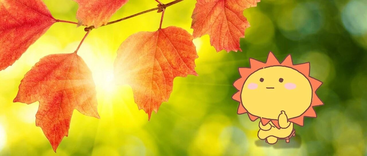 这三大星座在困境中越挫越勇&天生成功者！