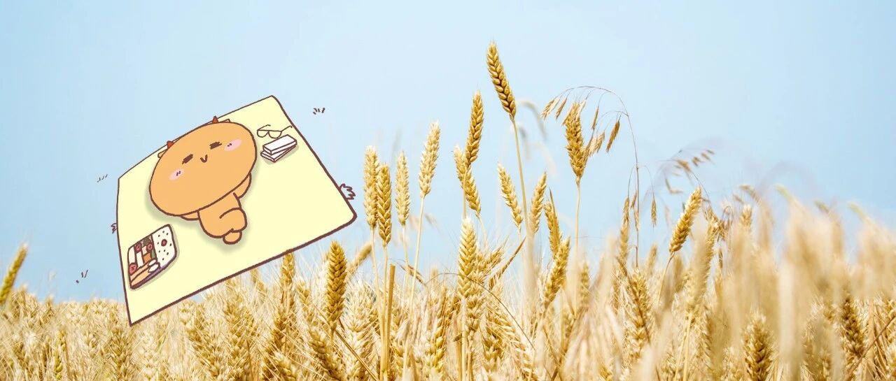 12星座就业指南！盘点最适合12星座的职业