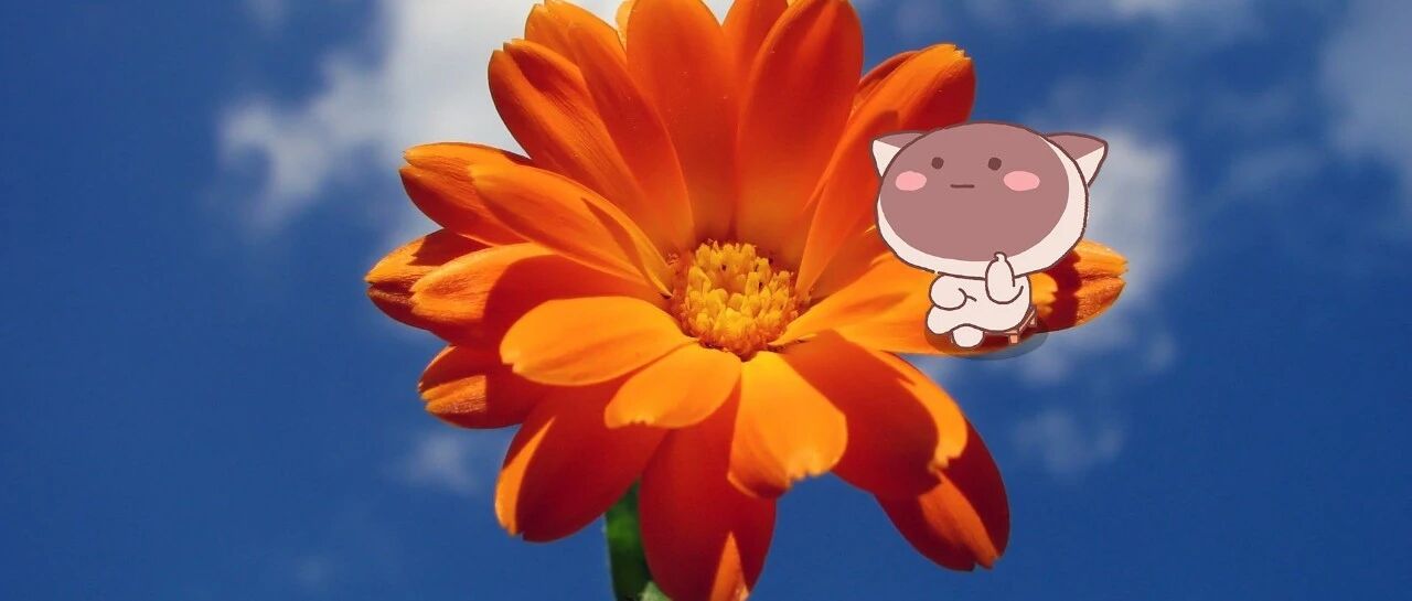 这三大星座恋爱情商最高！和TA们在一起浪漫又甜蜜！