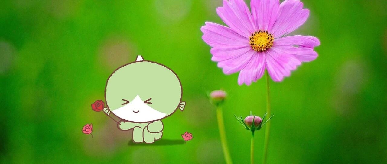 没有物质的爱情就像一盘散沙？盘点哪些面包大于爱情的星座！