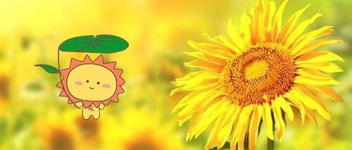 这五大星座对爱情最忠贞！一生只爱一人！