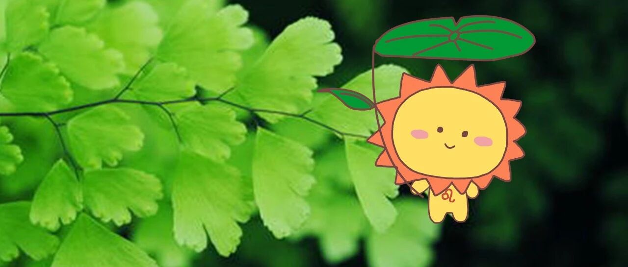 这三大星座最容易一见钟情！相信真爱&无所畏惧！