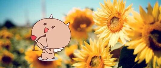 这三大星座在爱情中来去自如！即使再爱也不会迷失自我！