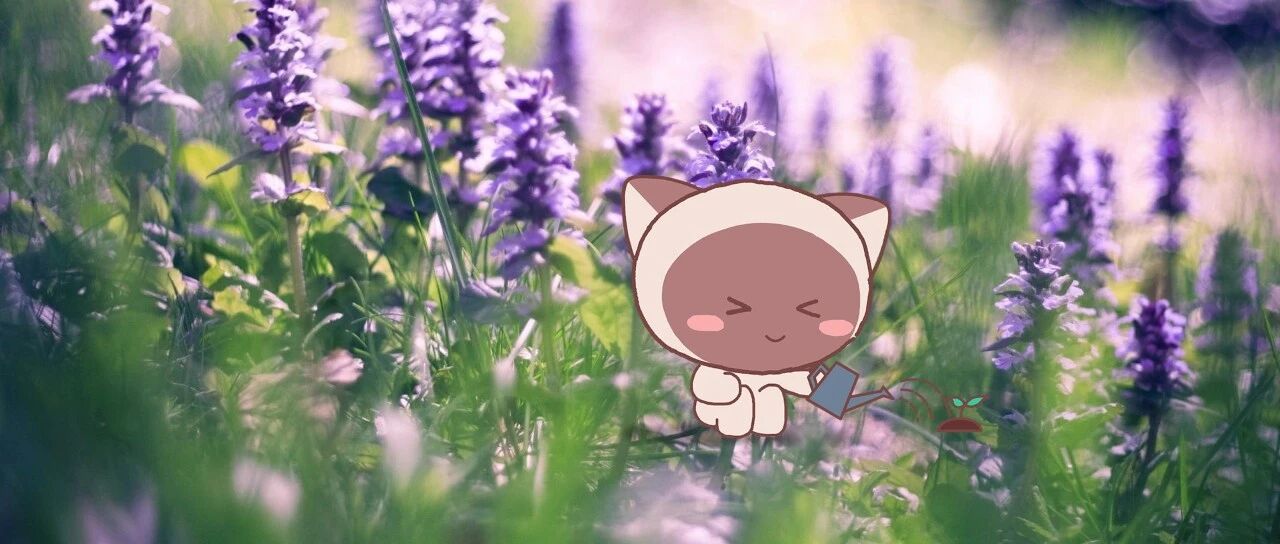 这三大星座坚信真爱无价！为爱而爱&绝不妥协！