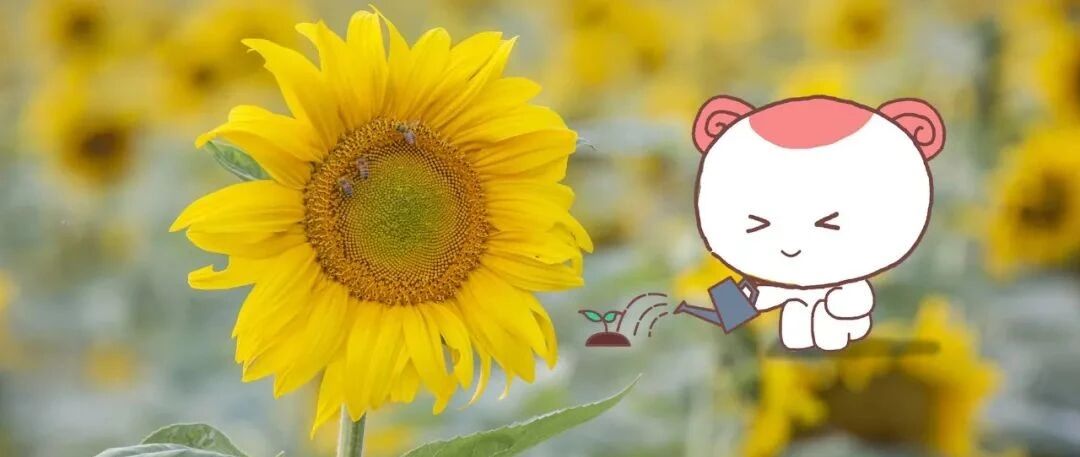 暗恋是一个人的兵荒马乱！12星座暗恋一个人时的内心活动和小故事