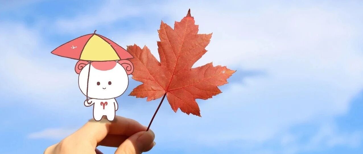 星座大爆料！这几个星座一恋爱就犯傻！看看有你吗