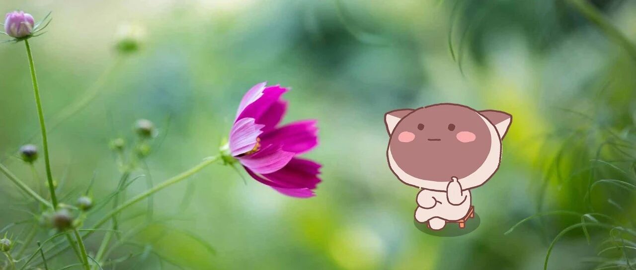 这三大星座分手之后最容易后悔&难忘旧爱!