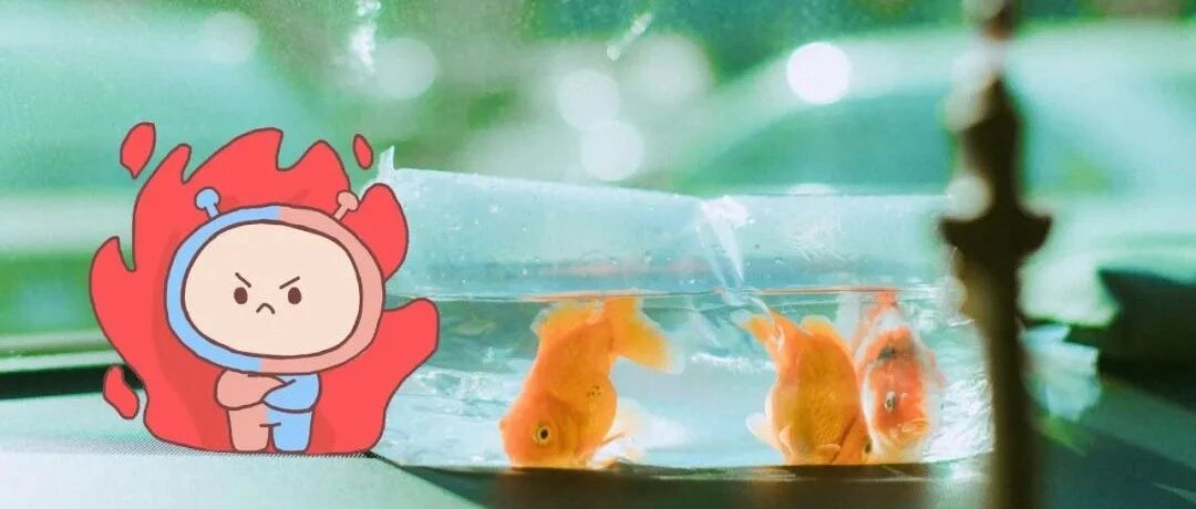 12星座暴走时该怎么处理？以暴制暴、讲大道理？这些都不行！